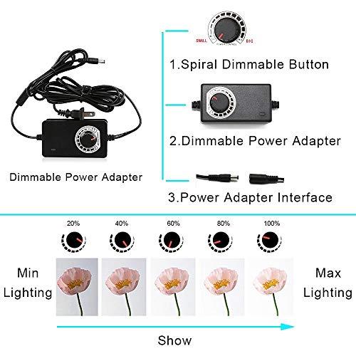 Konseen Professional 47"x20"x55" Photo LED Large Cube Shooting Tents Photography Continuous Lighting Flashery Video Studio Dimmable Lightbox Softbox with 3 Colors PVC Backdrops and Carrying Bag