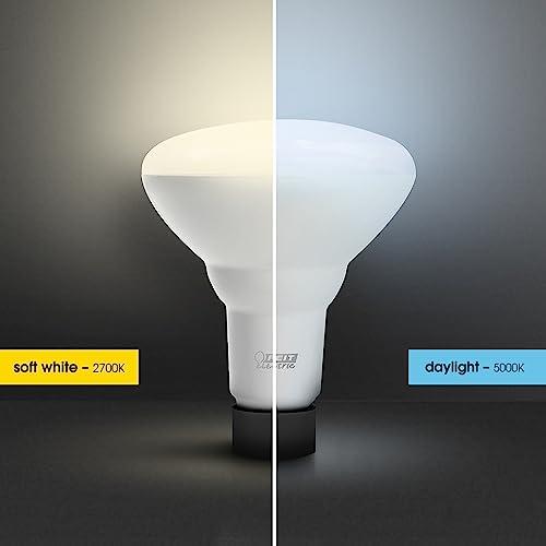 Feit Electric Feit Electric LED BR30 Light Bulbs 65W Equivalent, Dimmable, 10 Year Life, 650 Lumens, 5000k Daylight, Recessed Can Light Bulbs, Flood Light Bulbs, Damp Rated, BR30DM/850/10KLED/2, 2 Pack