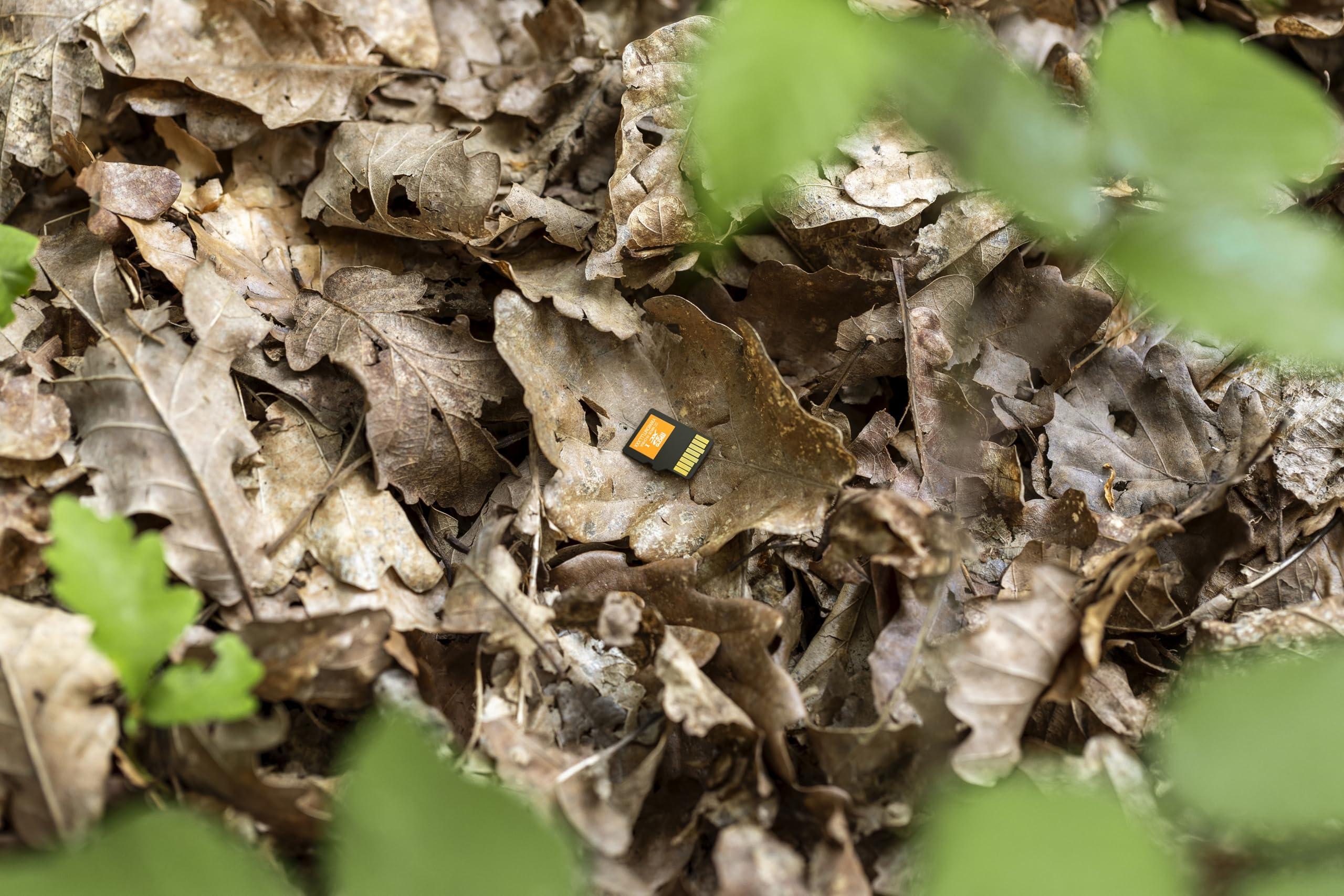 SanDisk SanDisk 64GB 2-Pack Outdoors 4K microSDXC UHS-I Memory Card (2x64GB) with SD Adapter - Up to 170MB/s, 4K, C10, U3, V30, A2, Trail Camera Micro SD Card - SDSQXAH-064G-GN6VT