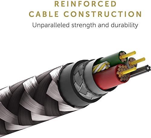 Native Union Native Union Belt Cable Universal - 6.5ft Ultra-Strong Reinforced [MFi Certified] Durable Charging Cable with 3-in-1 Adaptor for Lightning, USB-C and Micro-USB Devices (Zebra)