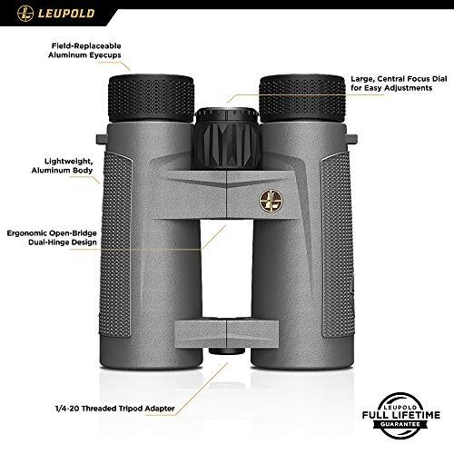 Leupold Leupold BX-4 Pro Guide HD Binoculars, 10x42mm, Shadow Gray (172666)
