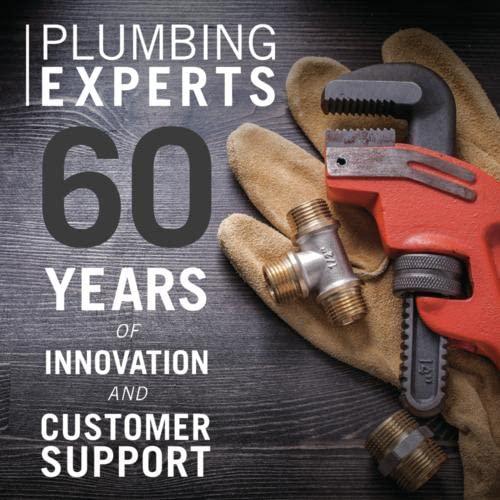 DELTA FAUCET Traditional Instant Hot Water Dispenser