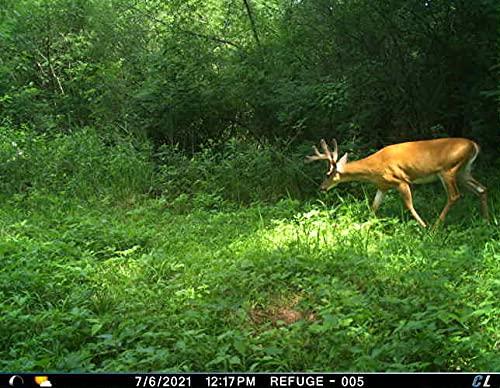 CuddeLink Cuddelink Cuddeback 4 Blackflash Cameras New L Series 4 Solar Power Banks PW-3600 4 16GB SD Cards 1 Hunters Warehouse Hat New