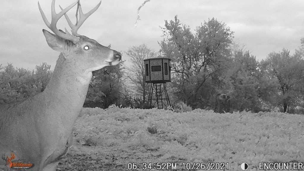 Wildgame Innovations Wildgame Innovations Kicker 16MP LIGHTSOUT