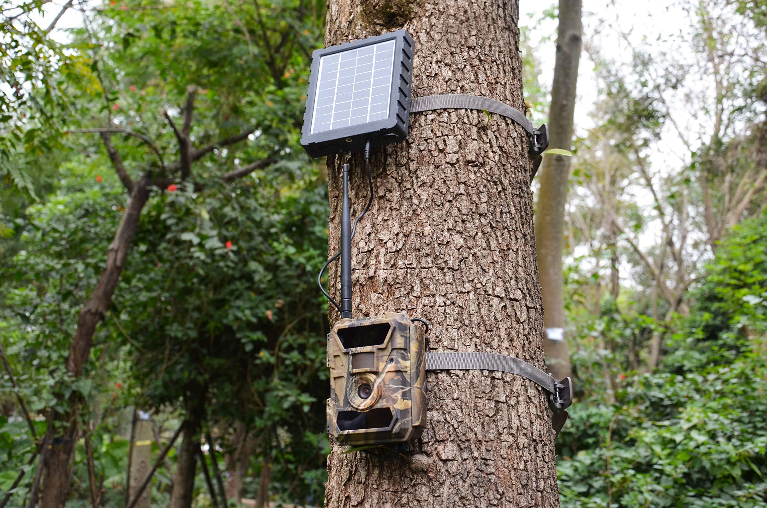 WingHome WingHome 6V Power Cable, Male to Male 5.5x2.1mm Plug