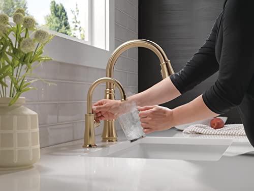 DELTA FAUCET DELTA FAUCET Traditional Instant Hot Water Dispenser, Champagne Bronze