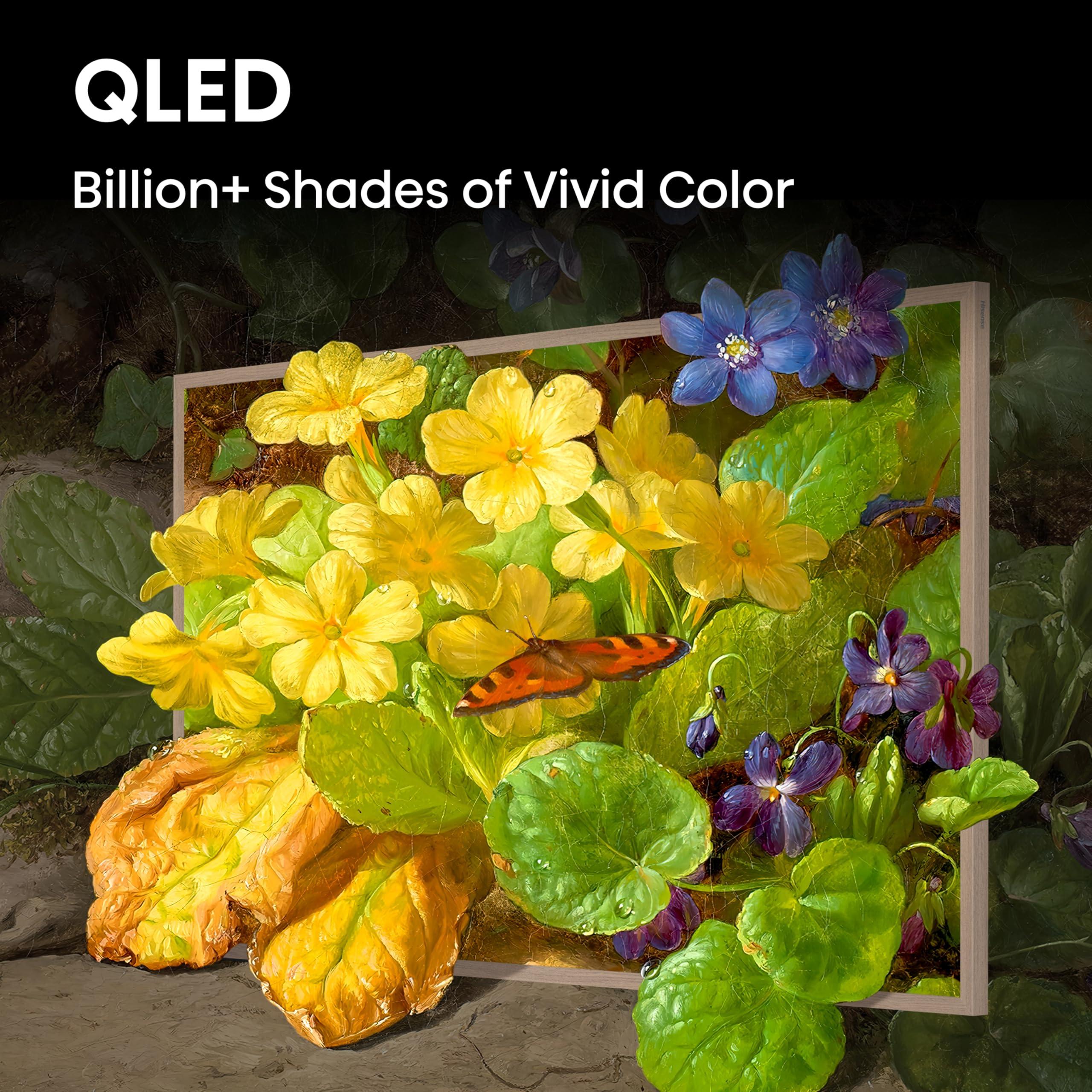 Hisense Hisense 65-Inch Class QLED 4K S7N CanvasTV Series Dolby Vision HDR Google Smart TV (65S7N, 2024 Model) - Art Mode, Anti-Glare Panel, Hi-Matte Display, Frame & UltraSlim Wall Mount Included, 144Hz