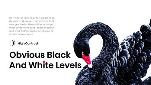 Hisense Hisense A4 Series 40-Inch Class FHD Smart Android TV with DTS Virtual X, Game & Sports Modes, Chromecast Built-in, Alexa Compatibility (40A4H, 2022 New Model) Black