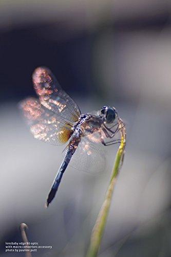 Lensbaby Lensbaby Macro Converters - 8mm Converter and 16mm Converter (LBMC)