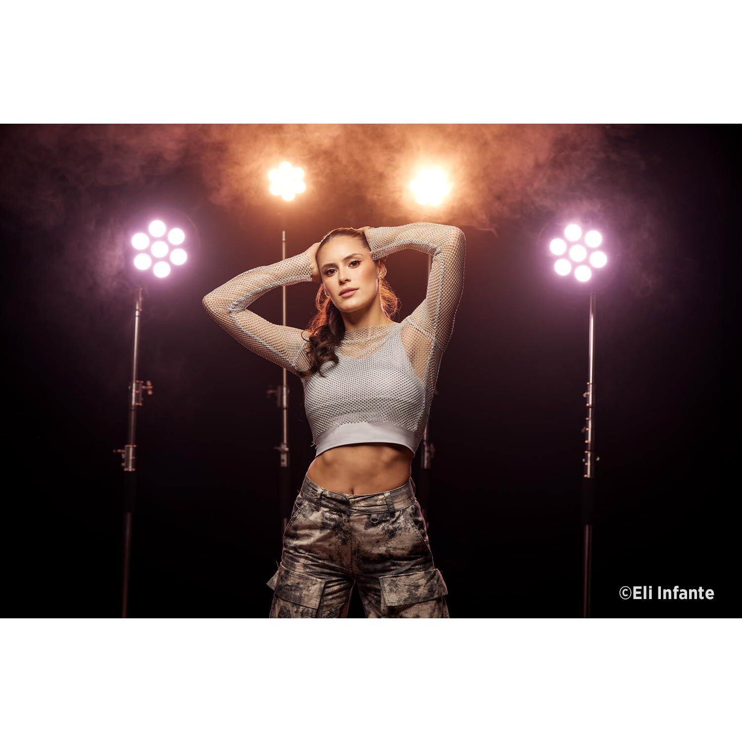 Westcott Westcott Pro Light Mods Mini - Compact Metal Reflector Attachment Simulating Small Stage or Stadium Lighting for Westcott and 3rd Party Metal Reflectors - Mini 7" (17.8 cm)