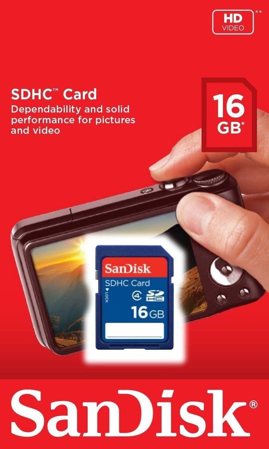 SanDisk SanDisk 16GB (10 Pack) SDHC Class 4 Flash Memory Card SDSDB-016G Bundle with (1) GoRAM Card Reader