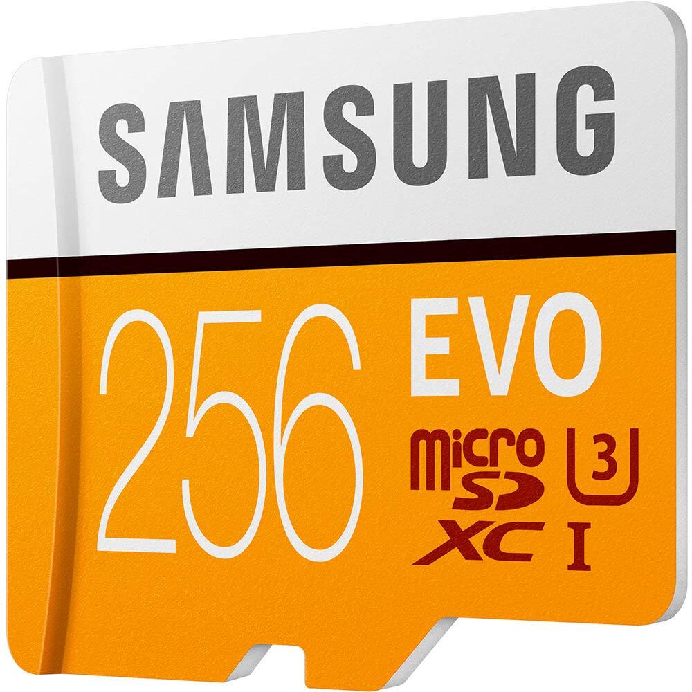 SAMSUNG Samsung 256GB EVO V5 NAND microSD MemoryCard