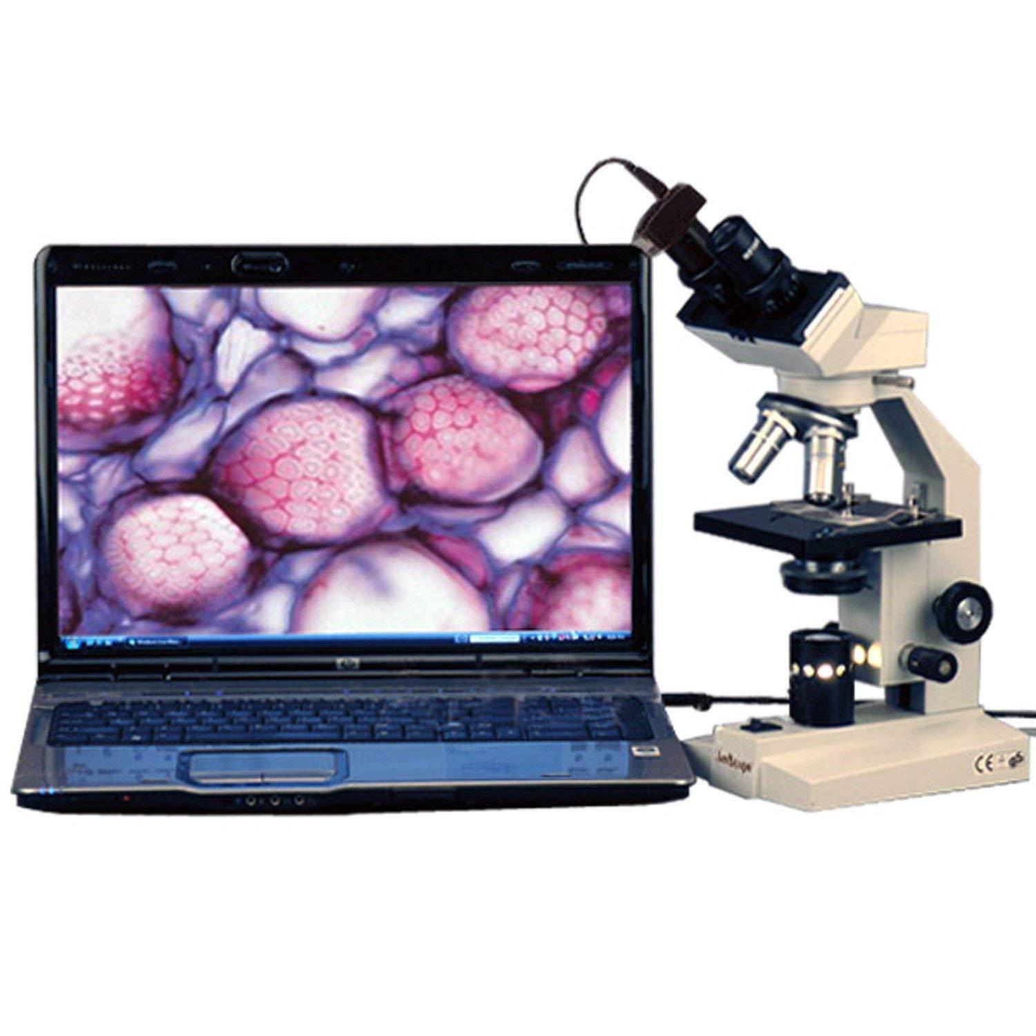 AmScope AmScope B100-M Digital Compound Binocular Microscope, 40X-1000X Magnification, Brightfield, Tungsten Illumination, Abbe Condenser, Plain Stage, Includes 1.3MP Camera with Reduction Lens and Software
